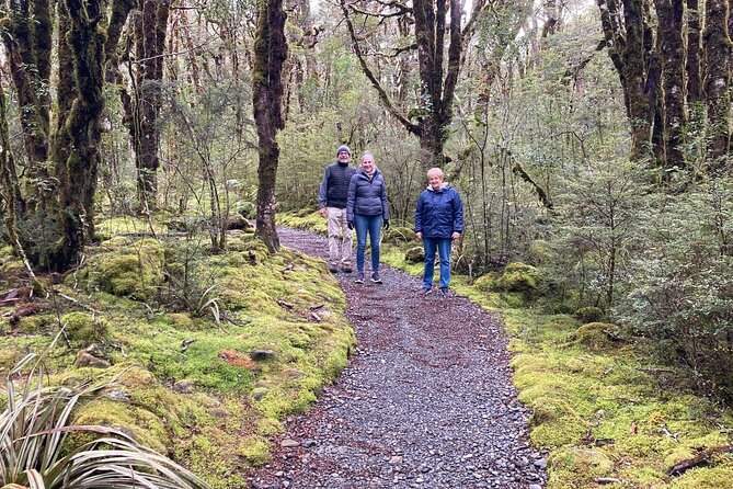 7-Day South Island Coastal Splendor Tour from Christchurch - Day 1: Christchurch to Greymouth by TranzAlpine train