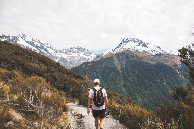 8 Day Southern Crossing Small Group Tour - Days 3 and 4: Franz Josef, kiwi conservation, and Lake Matheson