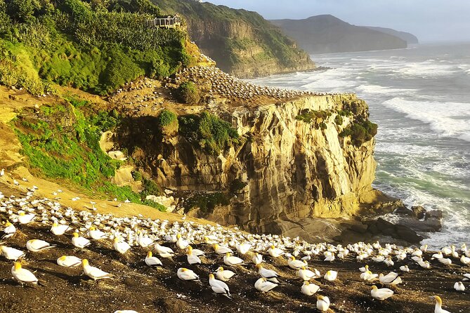 9 Day South to North Island NZ Private Tour from Queenstown - What this route gets right