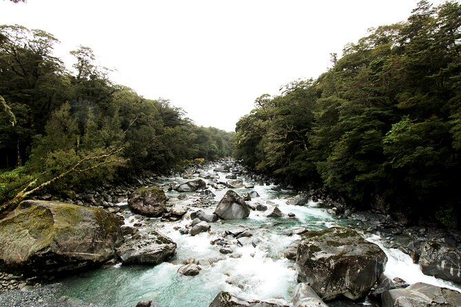 9 Day South to North Island NZ Private Tour from Queenstown - Day 5: Kaikōura or Akaroa