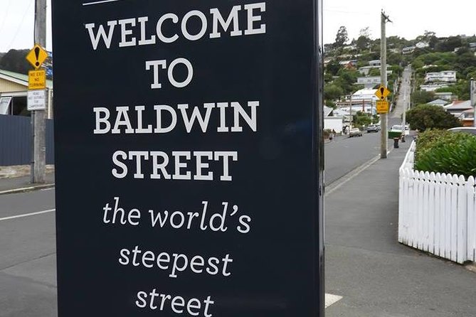 A 2 hour Small Group Dunedin City Highlights Tour - Key points to know before booking