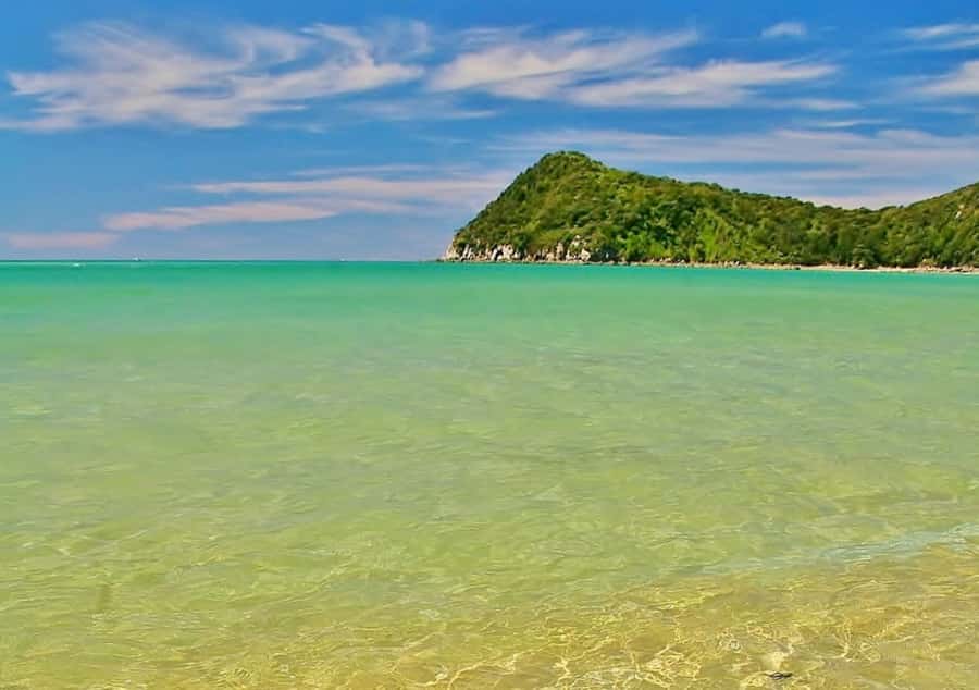 Abel Tasman National Full Park Scenic Cruise - Who should book the full scenic cruise