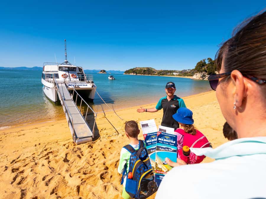 Abel Tasman National Full Park Scenic Cruise - Seals, dolphins, and the chance of something unexpected