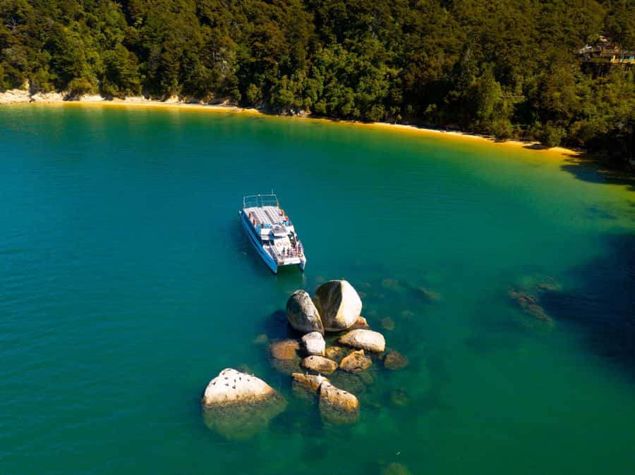 Abel Tasman National Full Park Scenic Cruise - Price, time, and overall value