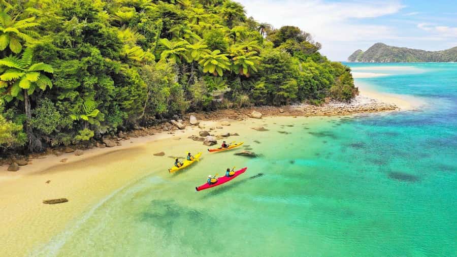 Abel Tasman National Park: Cruise, Kayak, & Hike Tour - From Nelson to Kaiteriteri by comfortable van