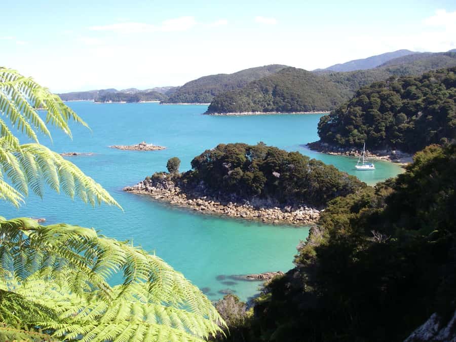 Abel Tasman National Park: Sailing and Self-Guided Walk - Why this boat-and-foot itinerary works so well