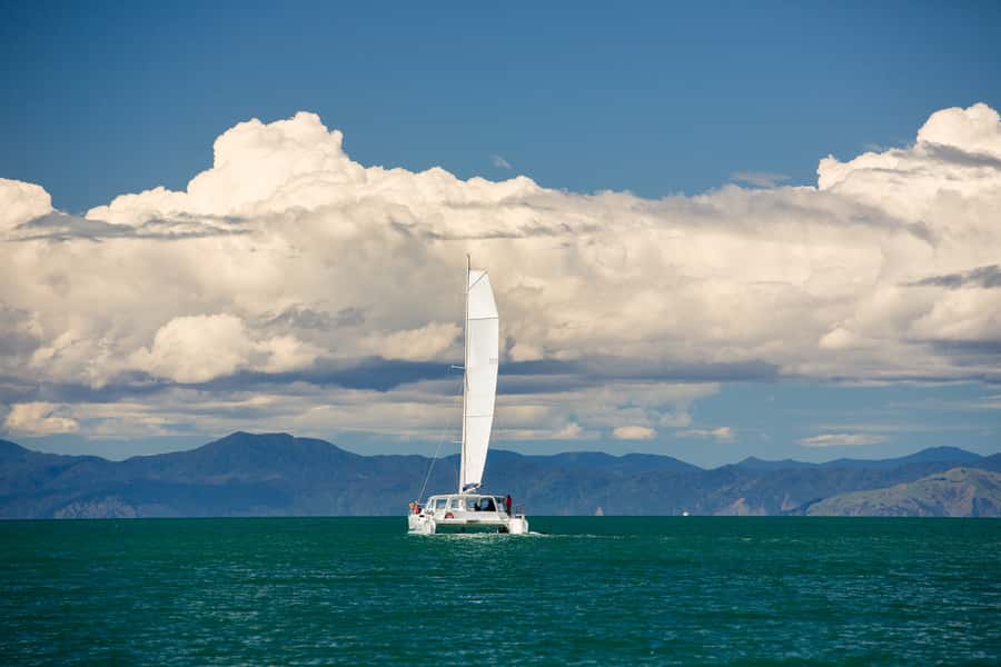 Abel Tasman National Park: Sailing and Self-Guided Walk - Sailing past Split Apple Rock and fur seals