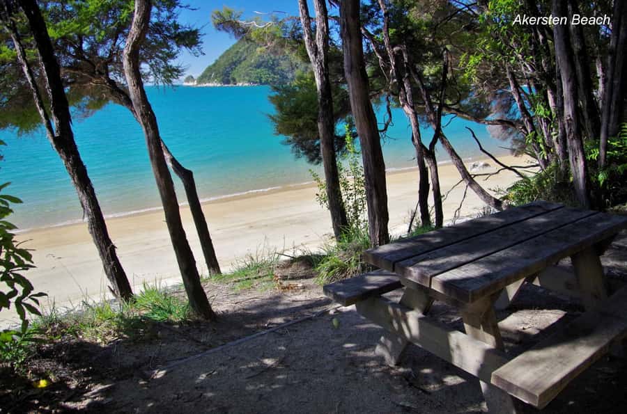 Abel Tasman: Sea Shuttle Cruise and Walking Tour Combo - Option B: Medlands Beach, South Head, and Cleopatra’s Pool