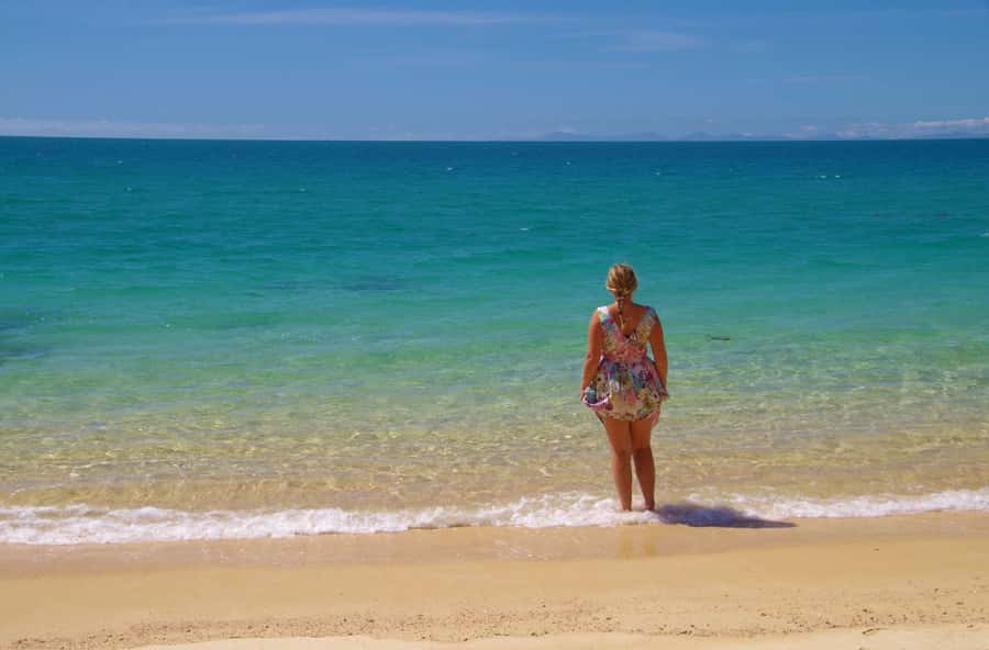 Abel Tasman: Sea Shuttle Cruise and Walking Tour Combo - How hard are the walks in real conditions?