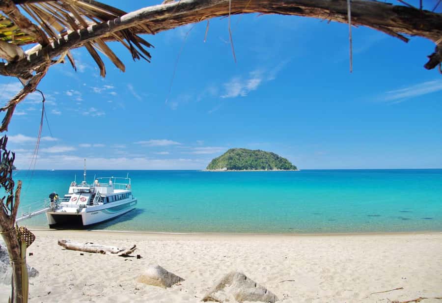 Abel Tasman: Sea Shuttle Cruise and Walking Tour Combo - The timing choice can make or break the day