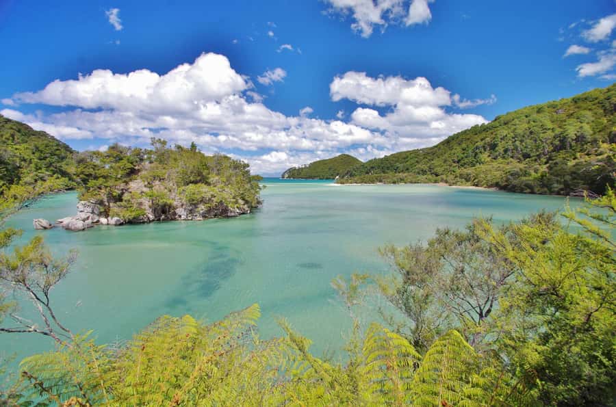 Abel Tasman: Sea Shuttle Cruise and Walking Tour Combo - What the crew does well, and where the tour is limited