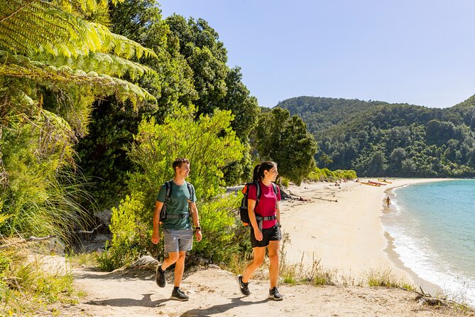 Abel Tasman Vista Cruise - Who will enjoy this cruise most?