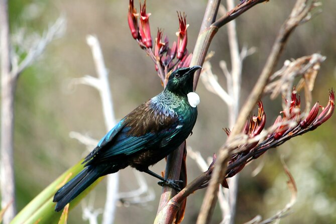 Abel Tasman Vista Cruise - Practical details that affect your day