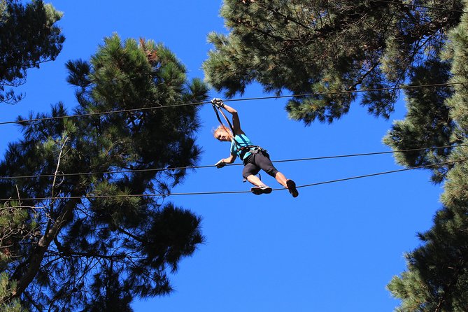 Adrenalin Forest Auckland - Key points to know before you climb