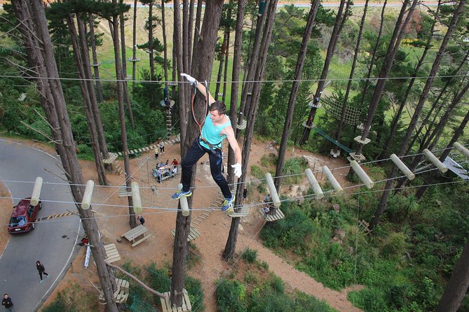 Adrenalin Forest Auckland - Starting at Stone Road in Bombay