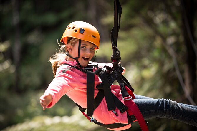 Adventurous Zipline Tour in Coromandel - Guides, safety, and the small-group advantage