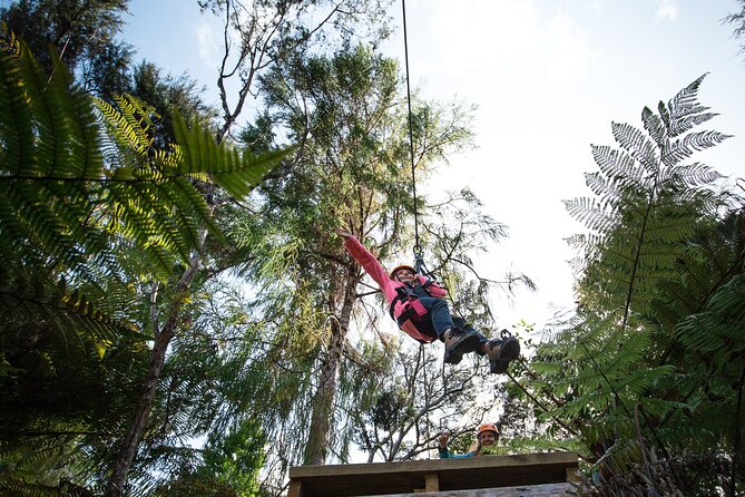 Adventurous Zipline Tour in Coromandel - What the two and a half hours feel like