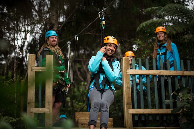 Adventurous Zipline Tour in Coromandel - Is the price of $91.22 good value?