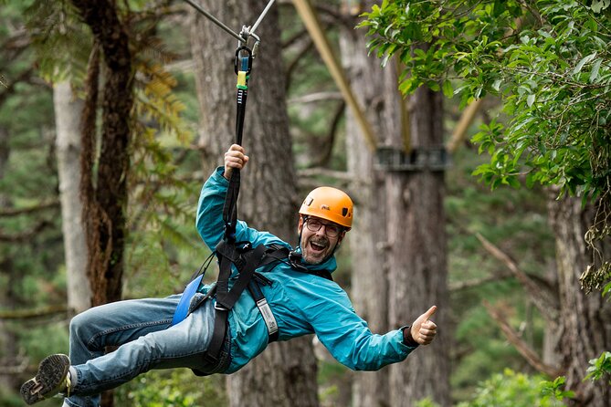 Adventurous Zipline Tour in Coromandel - Who will enjoy this Coromandel outing?