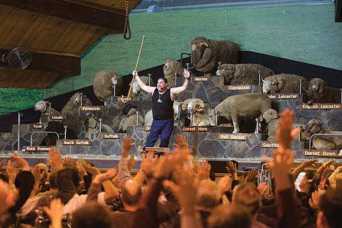 Agrodome Farm Experience including Farm Show and Farm Tour - Rotorua - A Working Farm, Not Just a Photo Stop