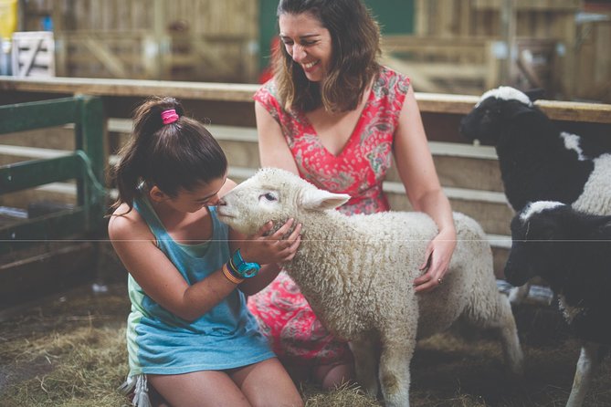 Agrodome Farm Experience including Farm Show and Farm Tour - Rotorua - Family Appeal and Age Range