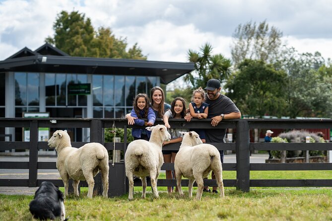 Agrodome Farm Experience including Farm Show and Farm Tour - Rotorua - Price, Timing, and Practical Value