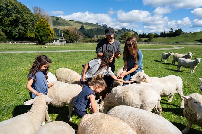 Agrodome Farm Experience including Farm Show and Farm Tour - Rotorua - What to Bring and How to Plan the Visit