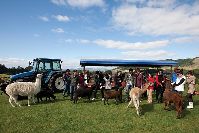 Agrodome Farm Experience including Farm Show and Farm Tour - Rotorua - Strengths and Limitations at a Glance