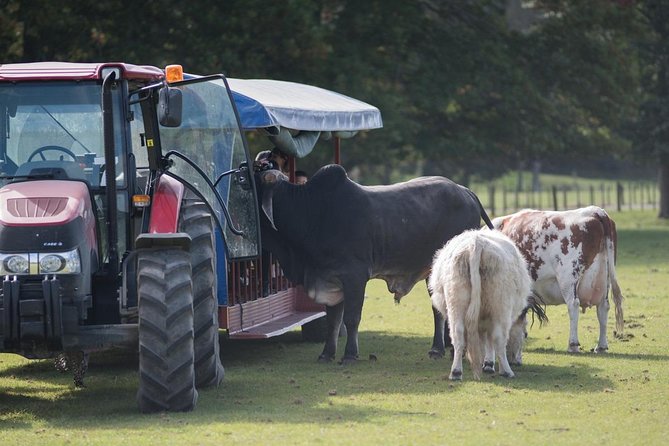 Agrodome Farm Experience including Farm Show and Farm Tour - Rotorua - Who Should Book the Agrodome?