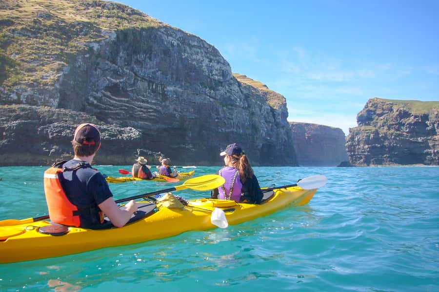Akaroa: 4WD Safari and Guided Sea-Kayaking Experience - Key points to know before you go