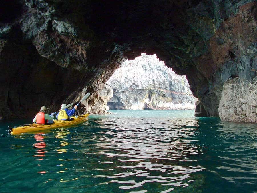 Akaroa: 4WD Safari and Guided Sea-Kayaking Experience - Should you book the Pohatu kayaking trip?