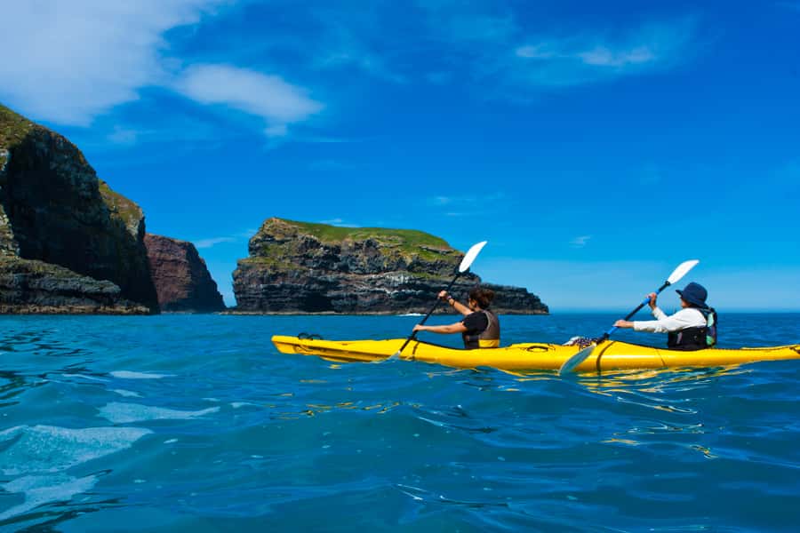 Akaroa: 4WD Safari and Guided Sea-Kayaking Experience - Morning or afternoon departure?