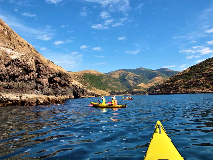 Akaroa: 4WD Safari and Guided Sea-Kayaking Experience - Is $80 a fair price?