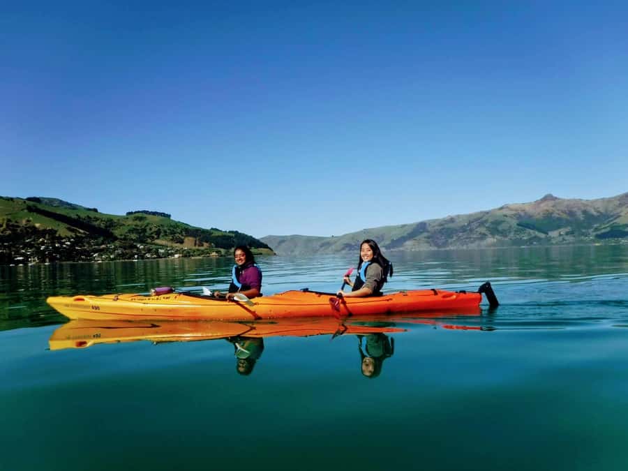 Akaroa: Akaroa Marine Reserve Sea Kayaking Tour - Key things to know before you book