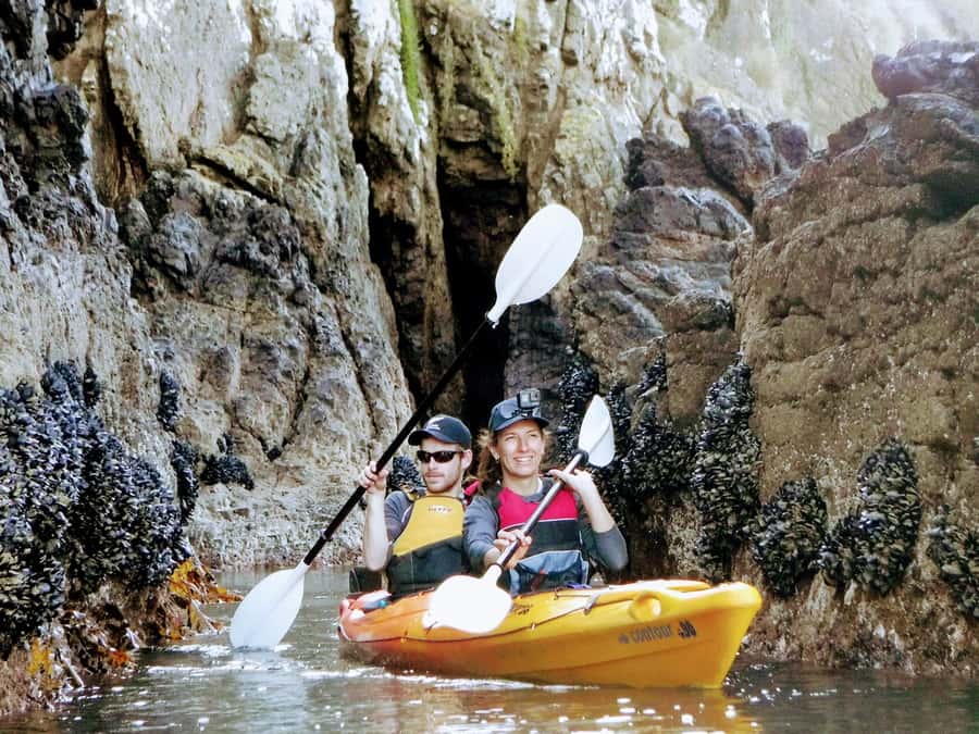 Akaroa: Akaroa Marine Reserve Sea Kayaking Tour - Who will enjoy this trip most?