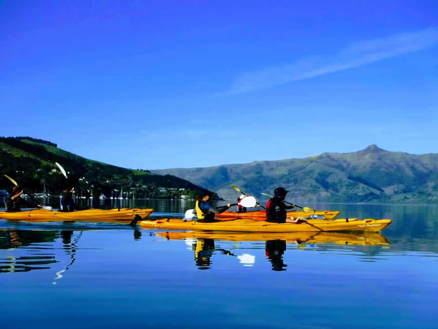 Akaroa: Akaroa Marine Reserve Sea Kayaking Tour - Caves, bays, and coastal features