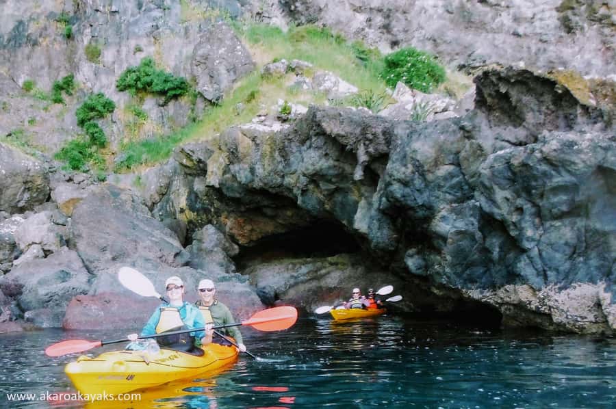 Akaroa: Akaroa Marine Reserve Sea Kayaking Tour - How much paddling should you expect?