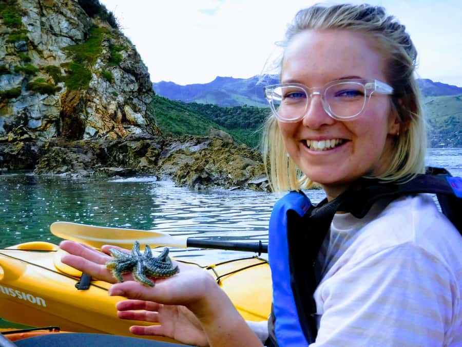 Akaroa: Akaroa Marine Reserve Sea Kayaking Tour - What the $80 price includes