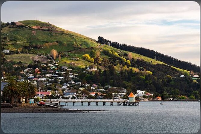 Akaroa Day Tour From Christchurch - Why Akaroa makes a good day trip from Christchurch