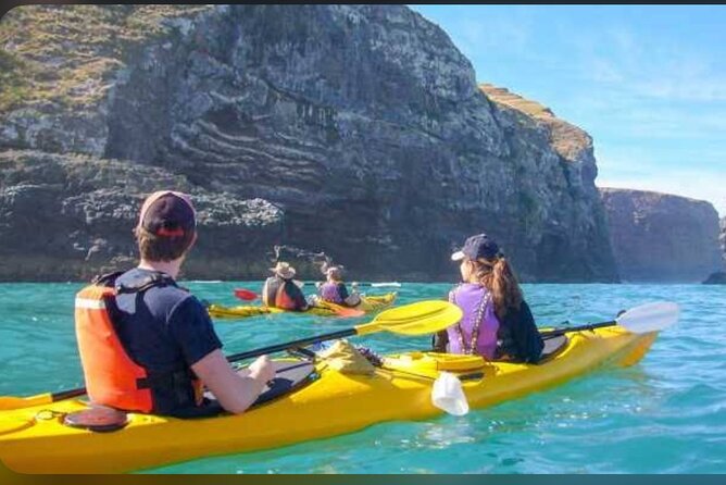 Akaroa Day Tour From Christchurch - The climb over Banks Peninsula