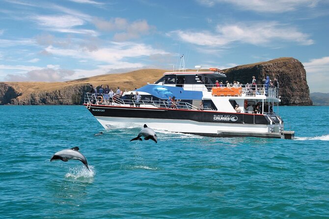 Akaroa Day Tour From Christchurch & Lyttelton - Why the road to Akaroa is worth your time