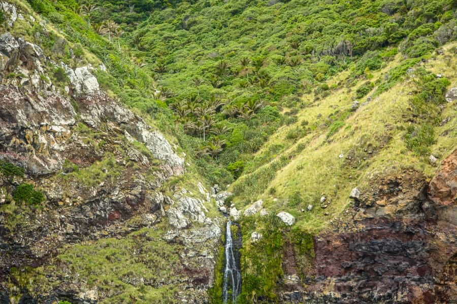 Akaroa: Dolphin Nature Cruise - Comfort, Weather, and What to Pack