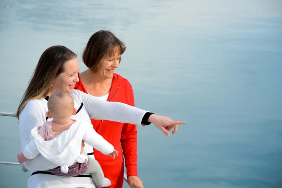 Akaroa: Dolphin Nature Cruise - Who Should Book This Cruise?