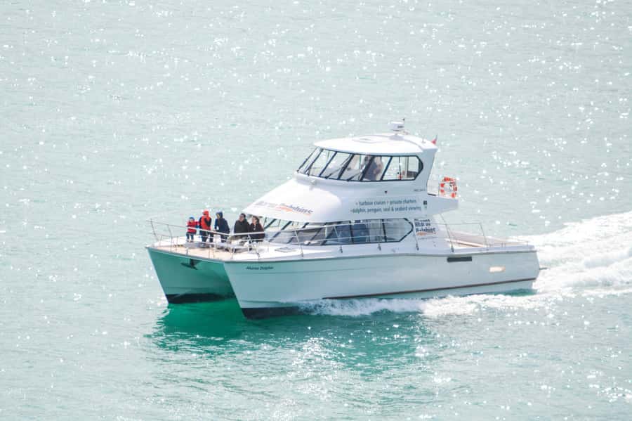 Akaroa: Dolphin Nature Cruise - Setting Out on the Two-Hour Cruise
