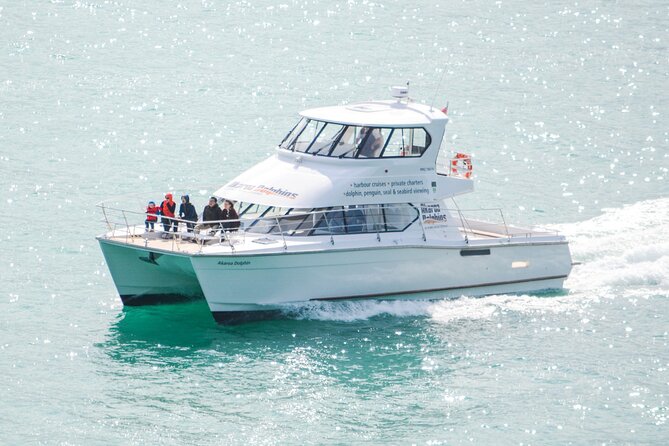Akaroa Dolphins ~ Harbour Nature Cruise - Akaroa Harbour, where the search begins