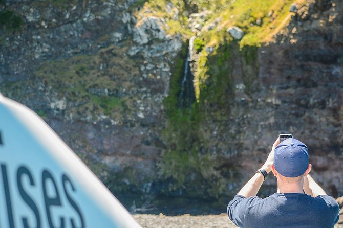 Akaroa Dolphins ~ Harbour Nature Cruise - Booking, timing and cancellation details