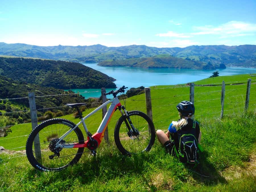 Akaroa: Electric Mountain Bike and Sea Kayak Adventure - Wildlife, weather, and the question of luck