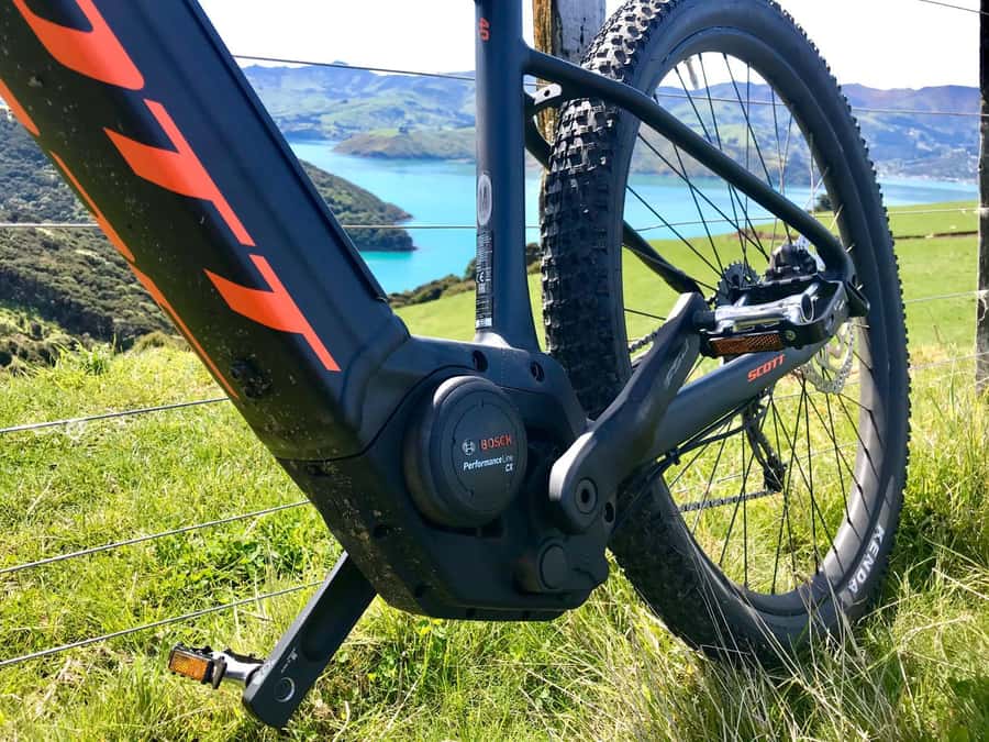 Akaroa: Electric Mountain Bike and Sea Kayak Adventure - Who should book this day?