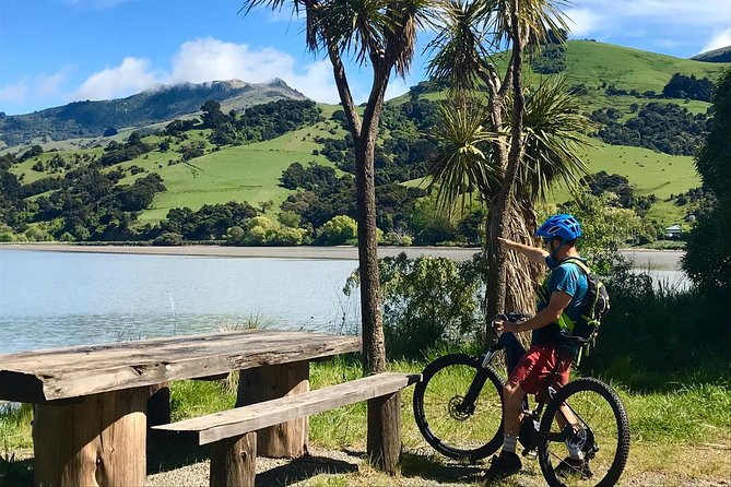 Akaroa Explorer- Guided Electric Bike Tour in Akaroa - Climbing above Akaroa Harbour