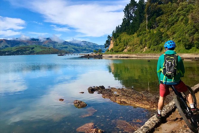Akaroa Explorer- Guided Electric Bike Tour in Akaroa - Is $83.78 a fair price?